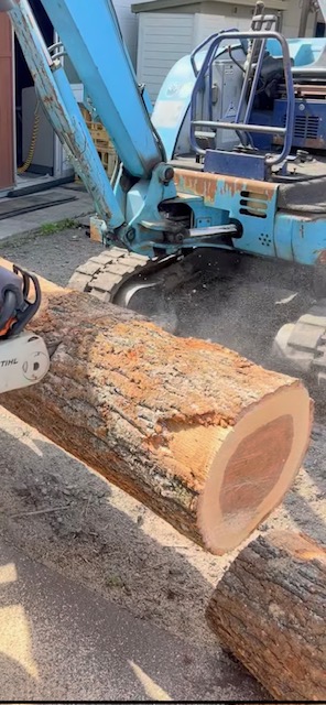 原木を希望の長さにカット